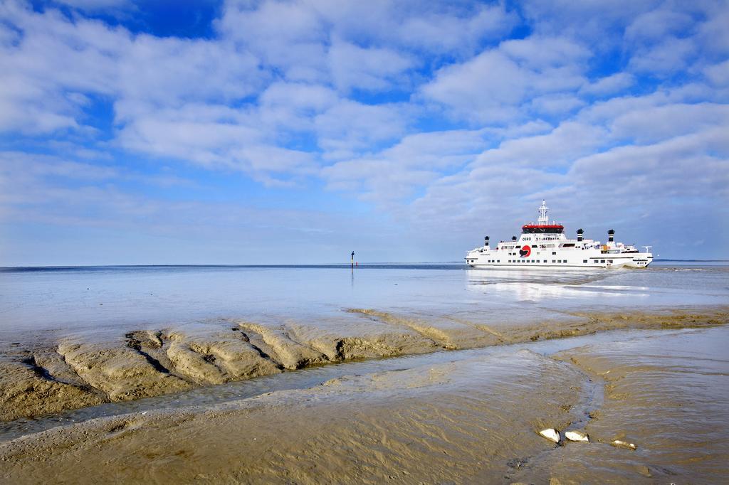 B&B De Pastorie Bij Dokkum Reitsum エクステリア 写真