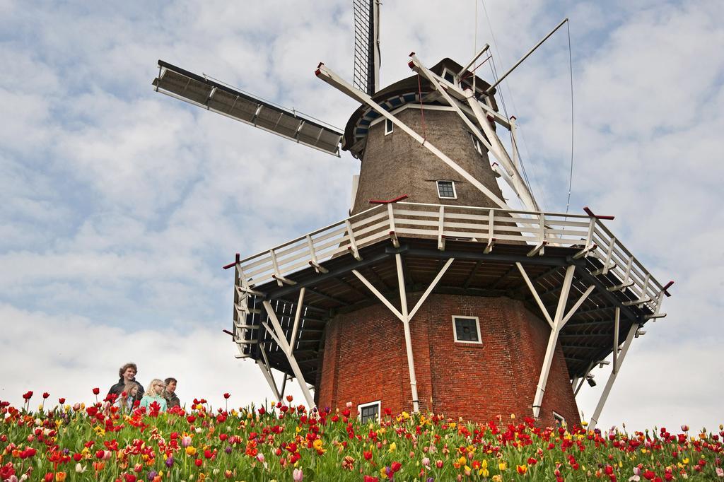 B&B De Pastorie Bij Dokkum Reitsum エクステリア 写真