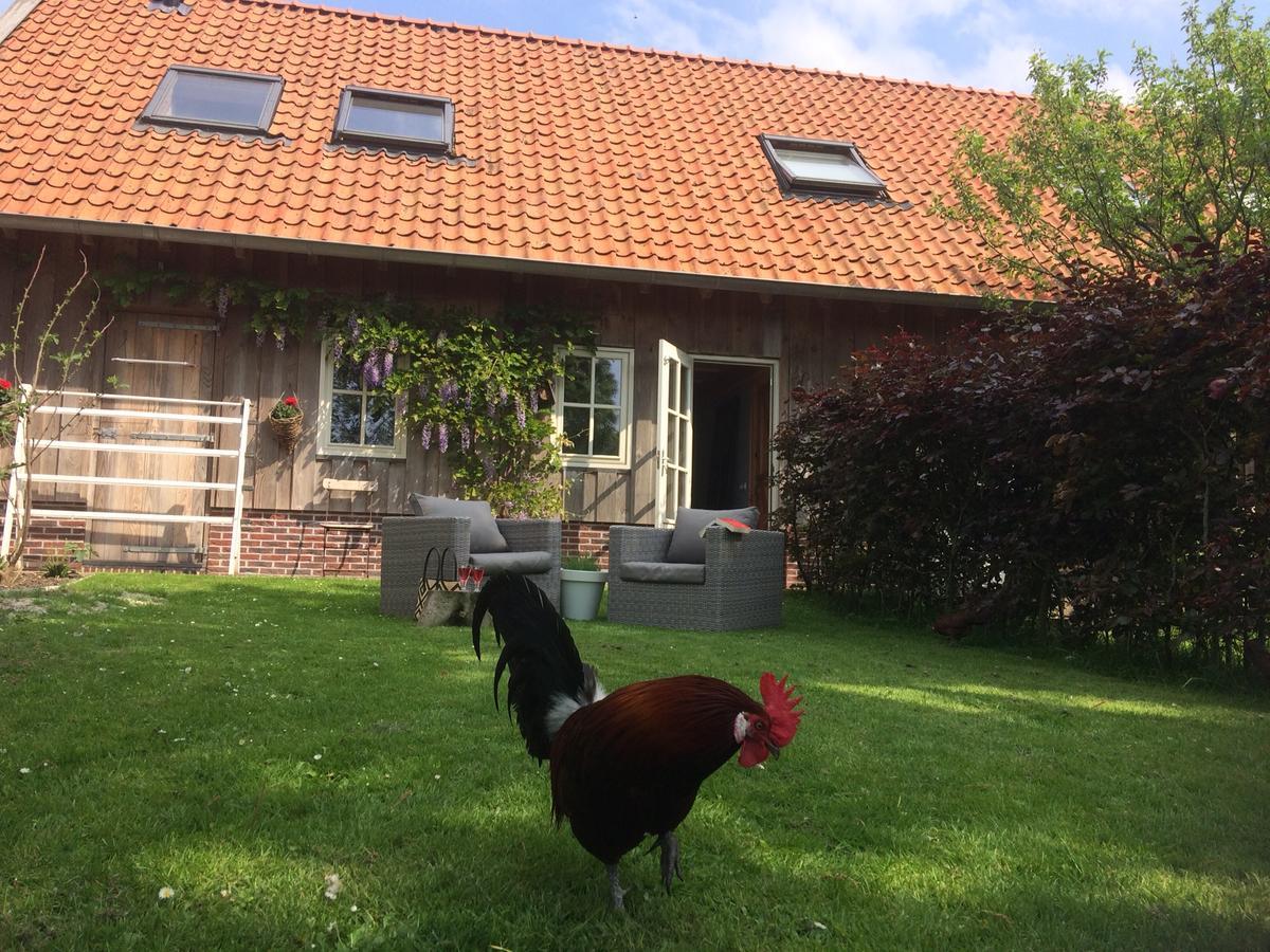 B&B De Pastorie Bij Dokkum Reitsum エクステリア 写真